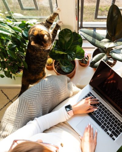 Le Temple - Ads - 1080 x 1350 (2)